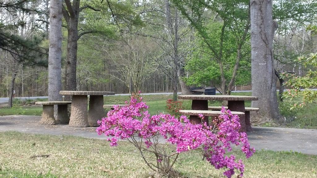 Valley Inn - Hamilton Ga Bagian luar foto